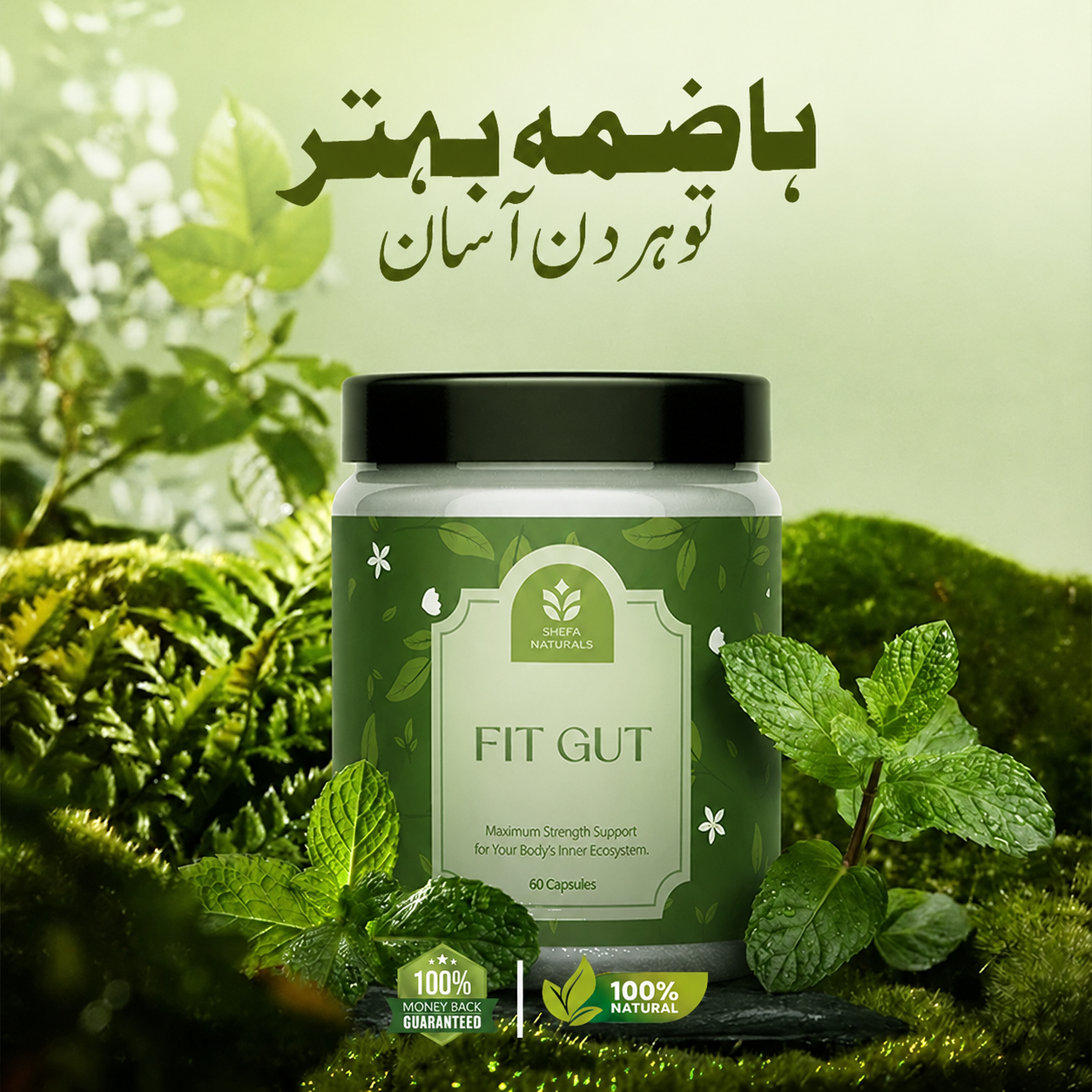 FIT GUT